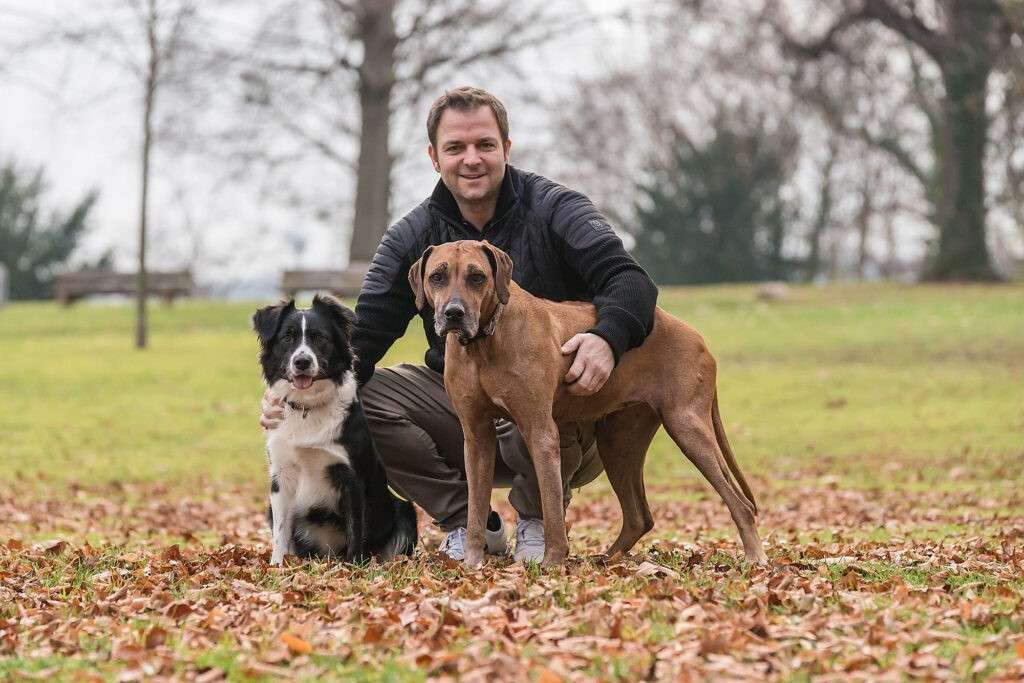 Martin Rütter Hundeschule: Moderne Hundeerziehung mit Erfolg Martin Rütter Hundeschule